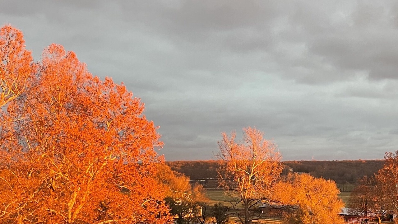 Photo of Outdoor in Springdale