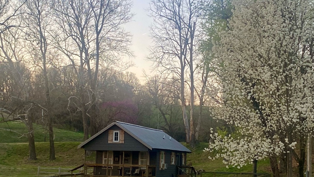 Photo of Outdoor in Springdale