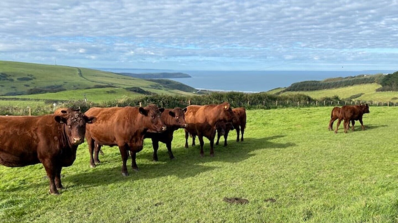 Photo of Outdoor in Mortehoe