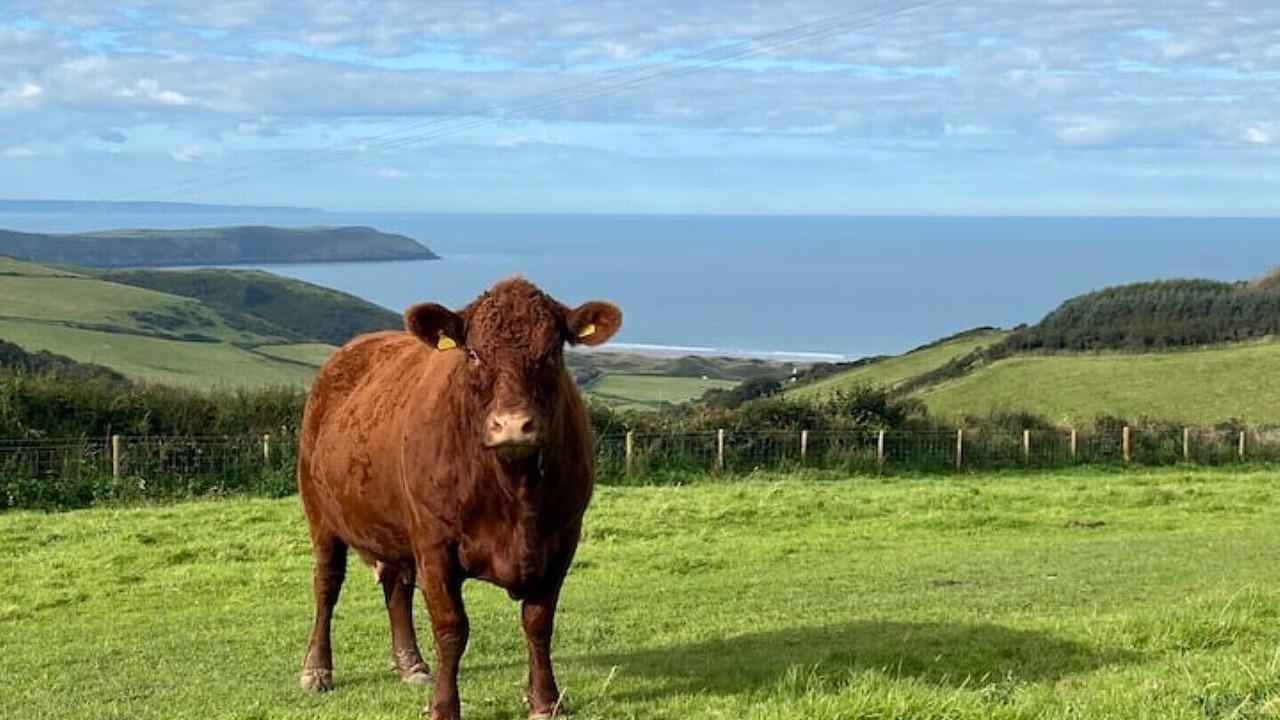 Photo of Outdoor in Mortehoe