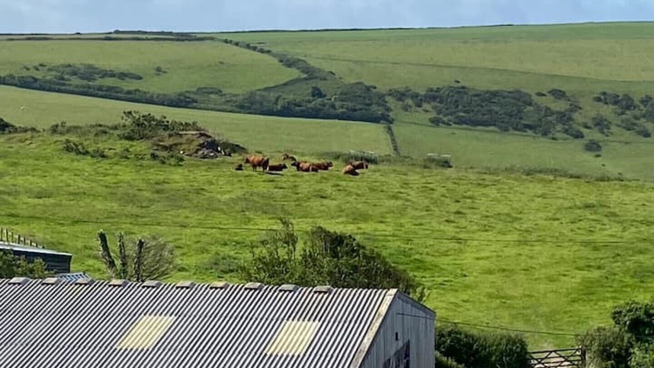 Photo of Others in Mortehoe