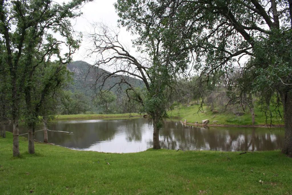 Photo of Others in Kaweah