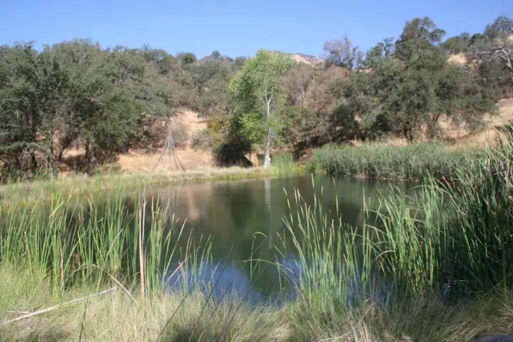 Photo of Others in Kaweah