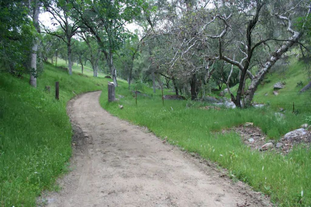 Photo of Others in Kaweah