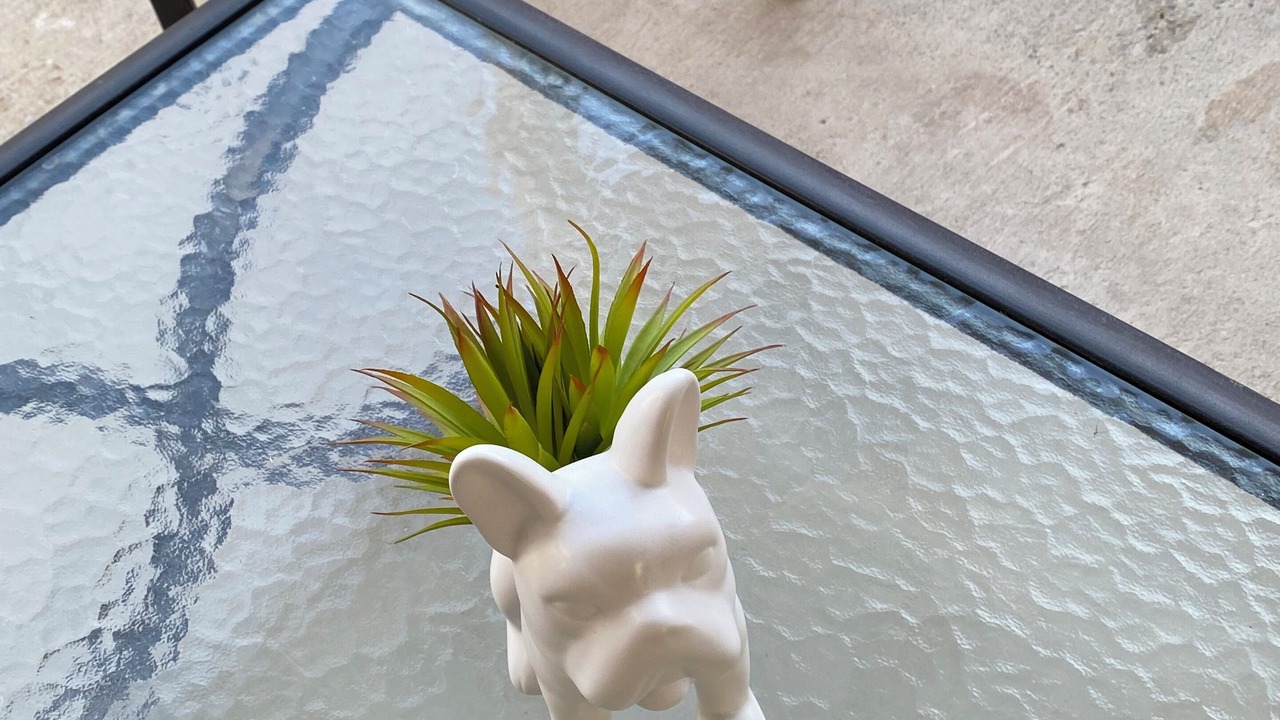 Photo of Others in Orangevale