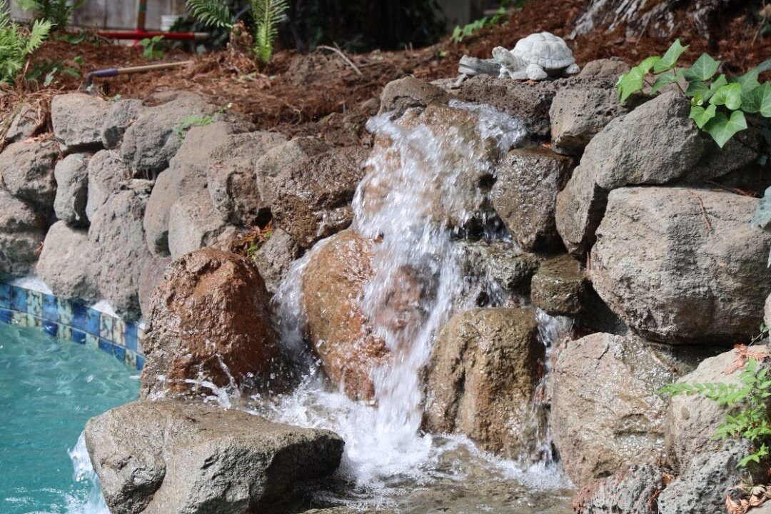 Photo of Outdoor in Chico