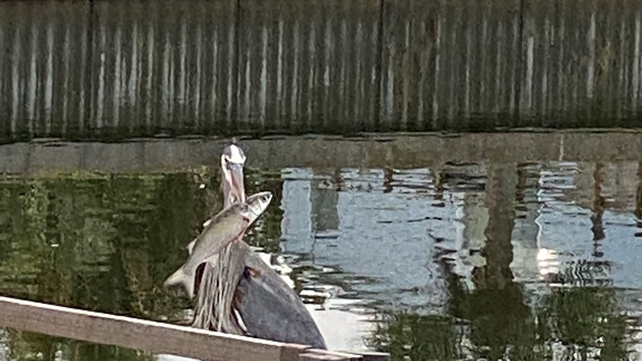 Photo of Outdoor in Hudson