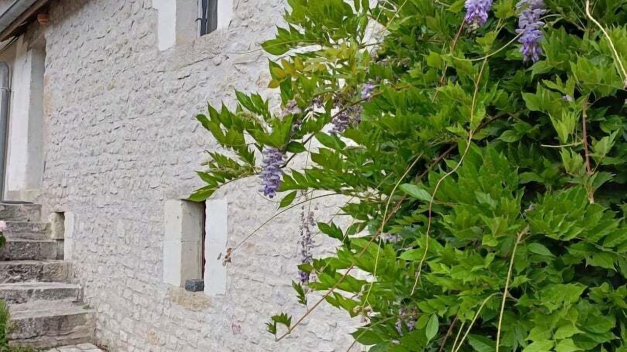 Photo of Outdoor in Chambourg-sur-Indre