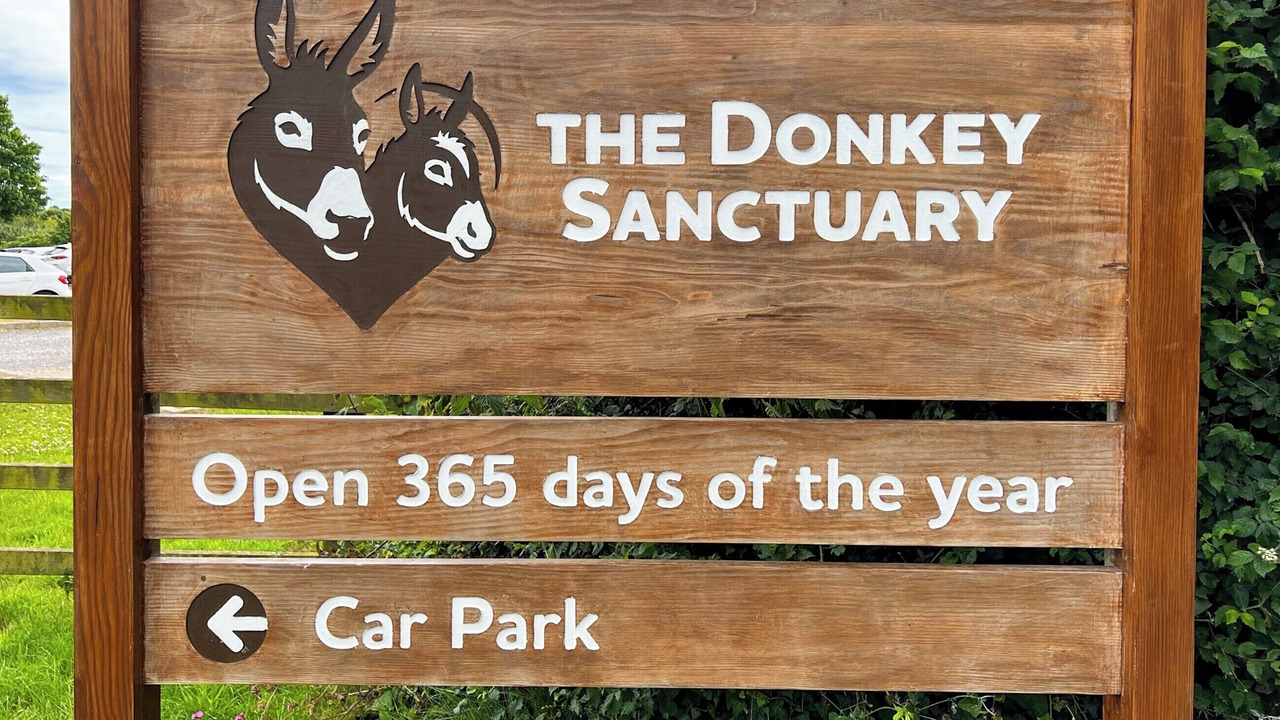 Photo of Others in Sidmouth