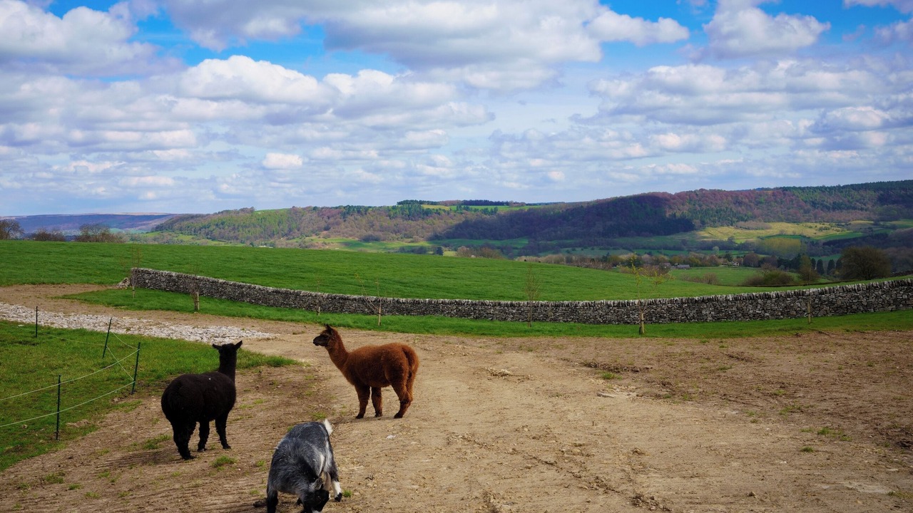 Photo of Others in Over Haddon