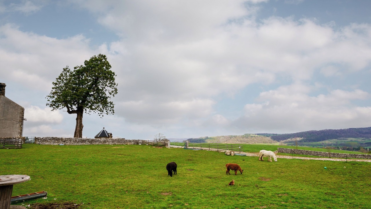 Photo of Others in Over Haddon