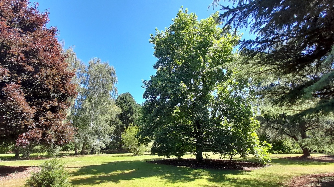 Photo of Others in Saint-Sauveur-de-Flee