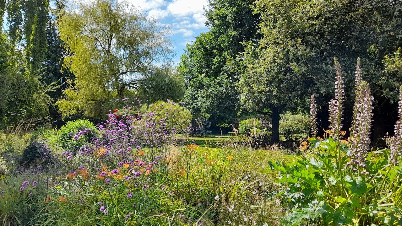 Photo of Outdoor in Saint-Sauveur-de-Flee