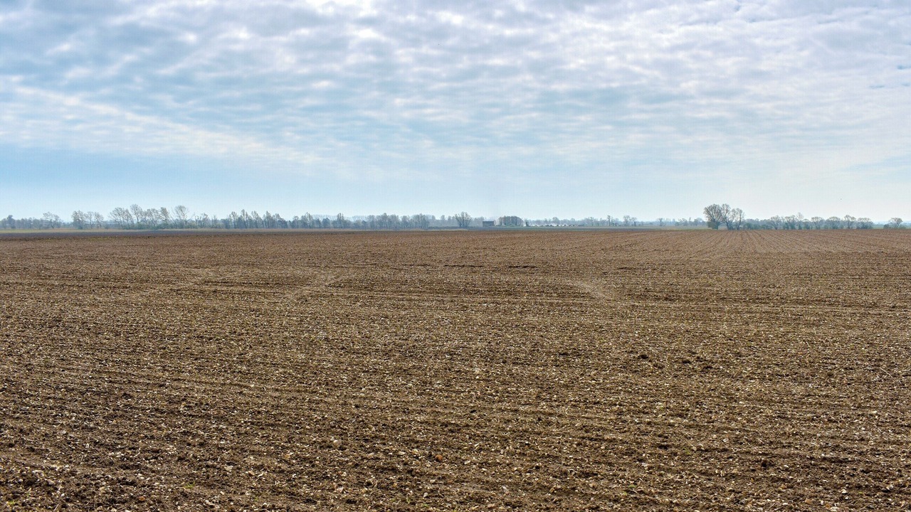 Photo of Others in Chittering