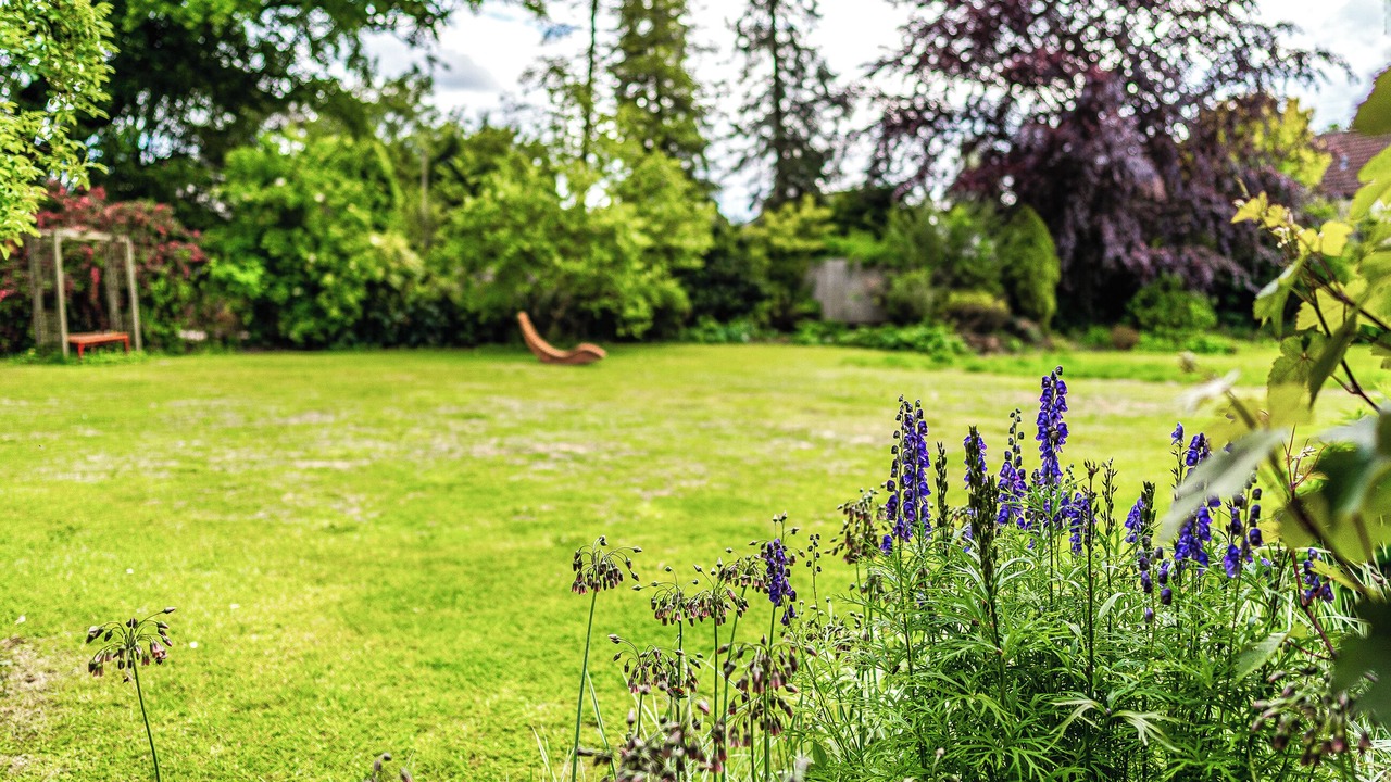 Photo of Outdoor in Chilcompton