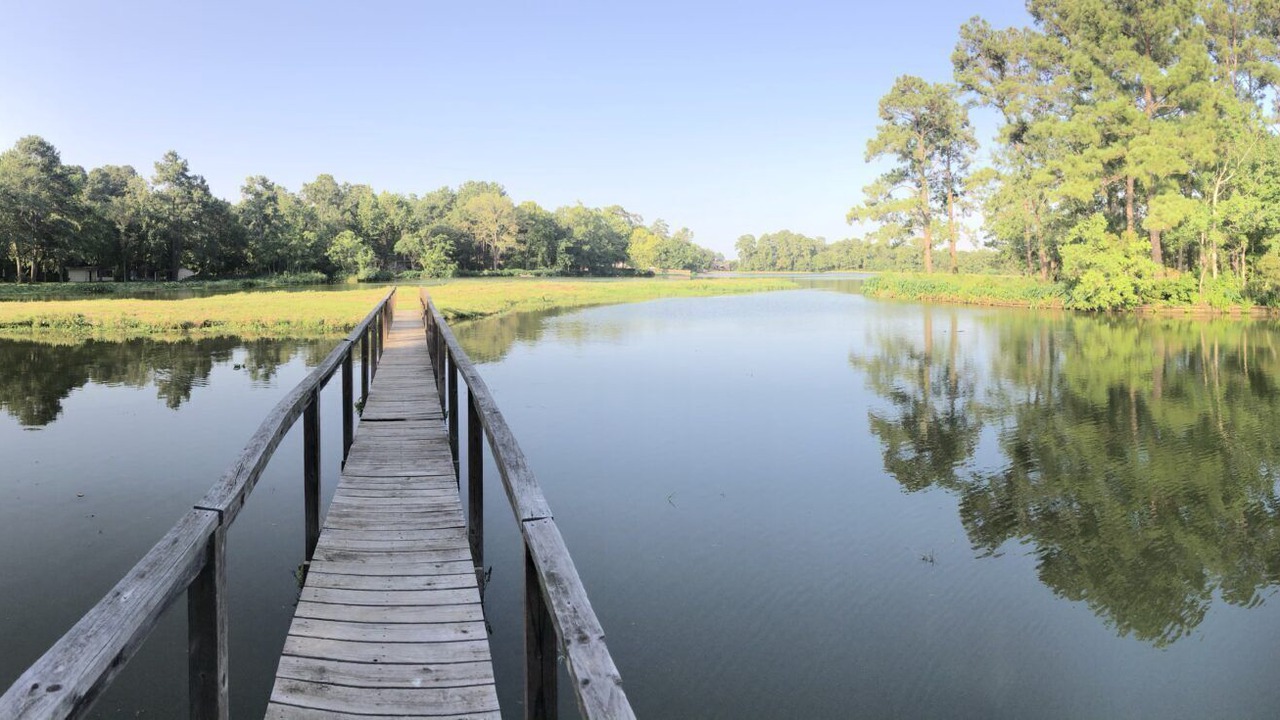 Photo of Others in Montgomery