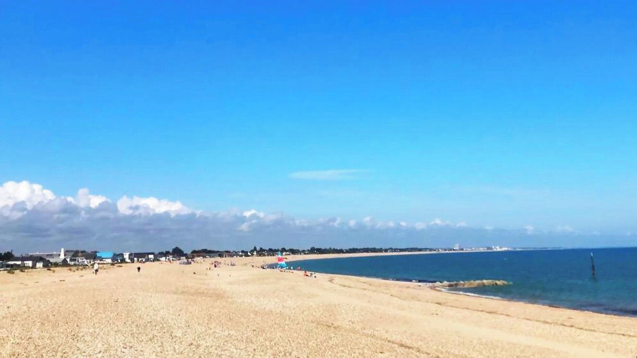 Photo of Others in Pagham