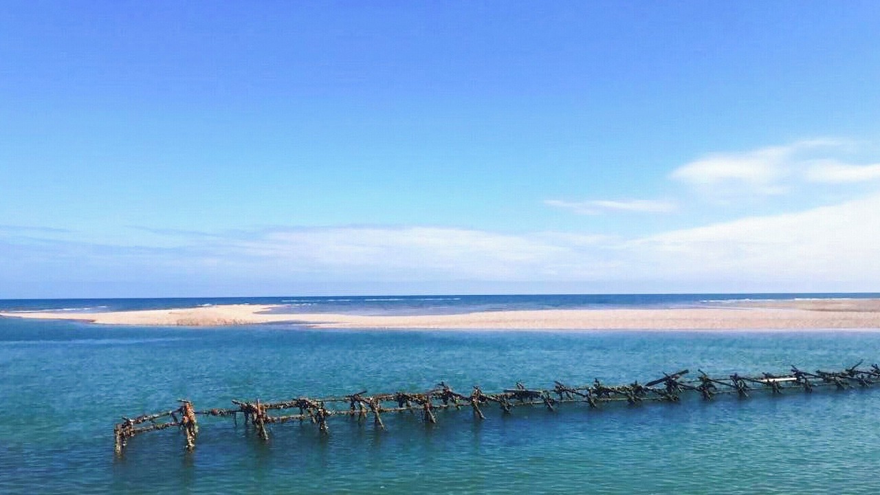 Photo of Others in Pagham