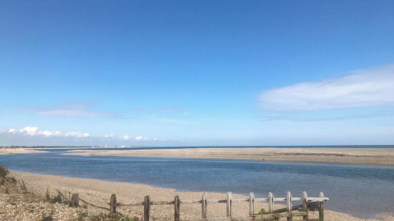 Photo of Others in Pagham