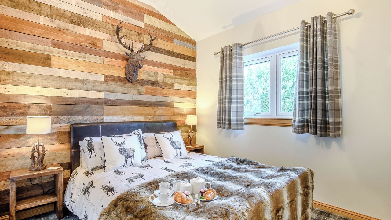 Photo of Others in Ayr