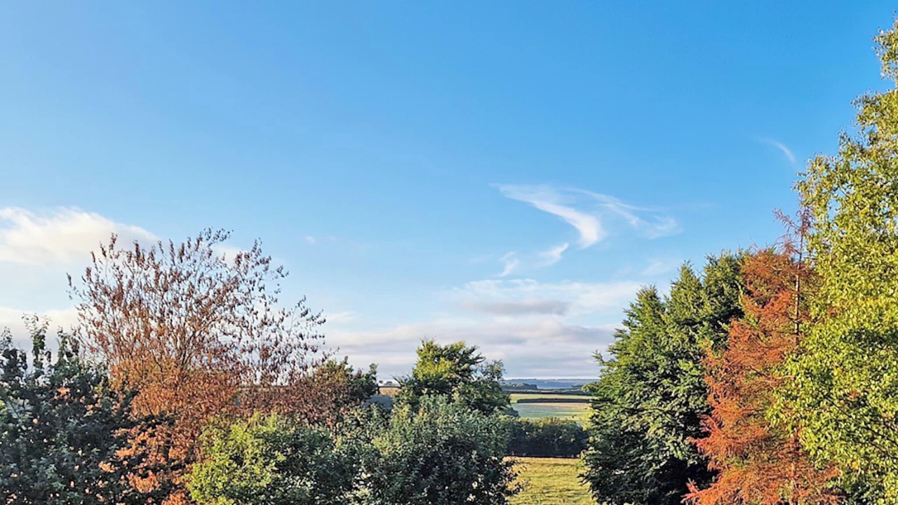 Photo of Others in Christchurch