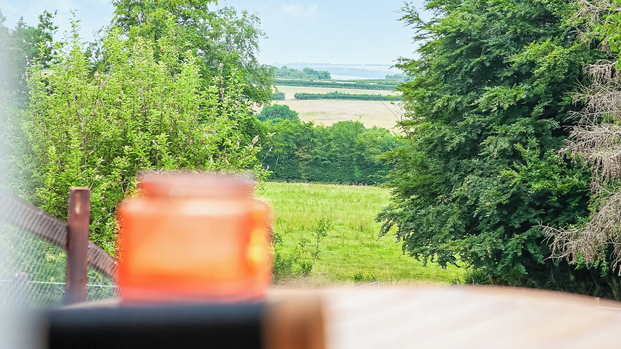 Photo of Others in Christchurch