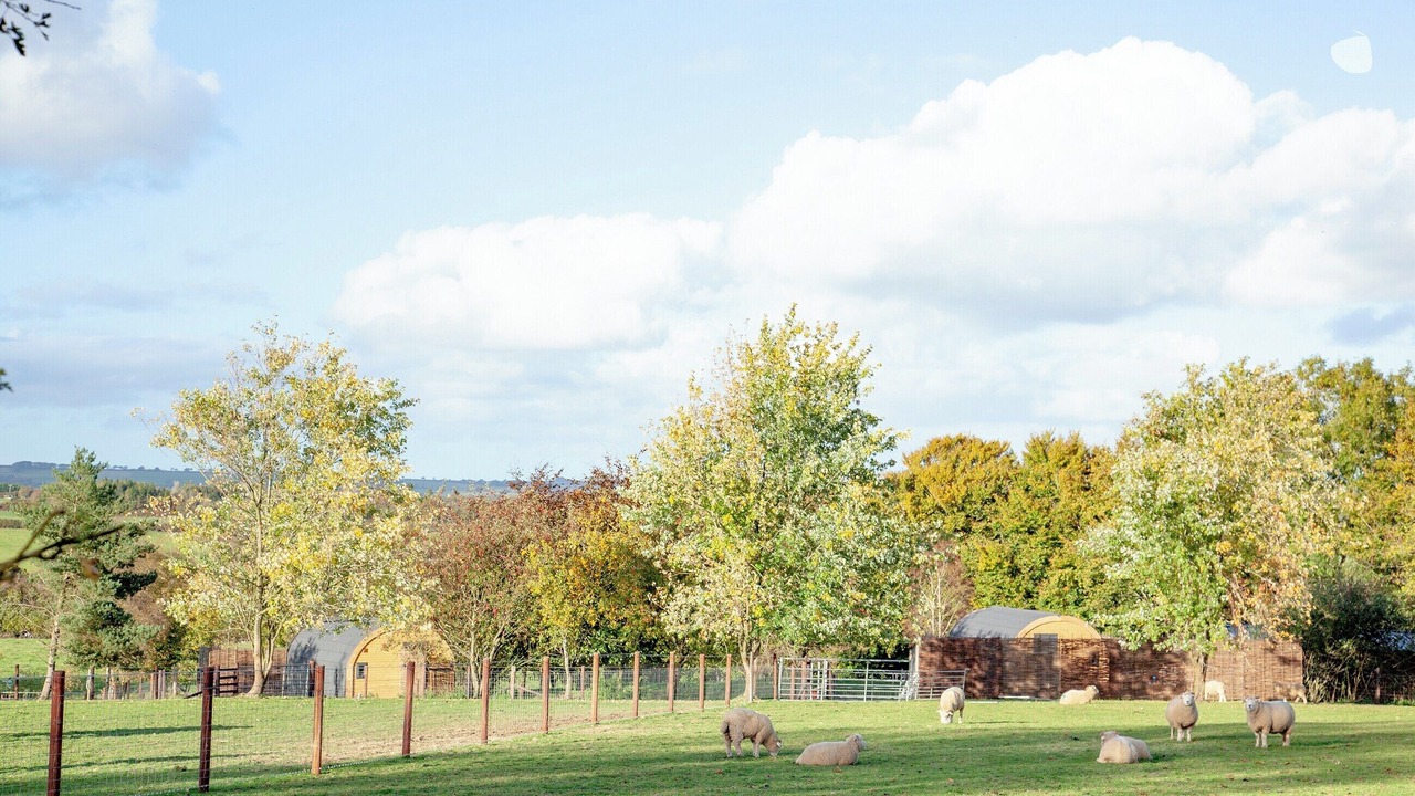 Photo of Others in Christchurch