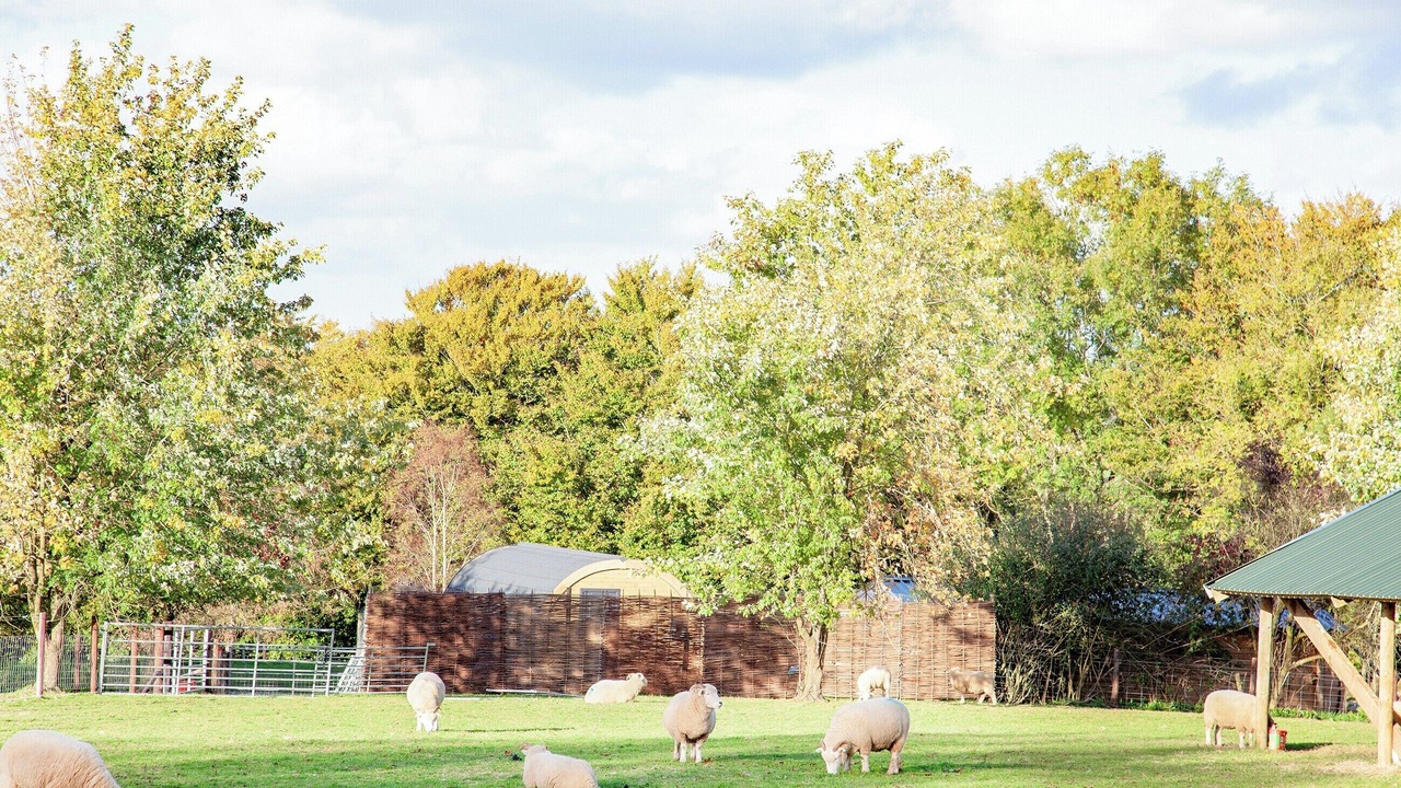 Photo of Others in Christchurch