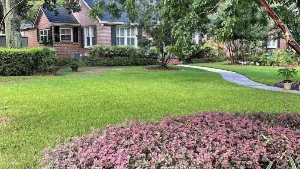 Photo of Outdoor in Southeast Pensacola