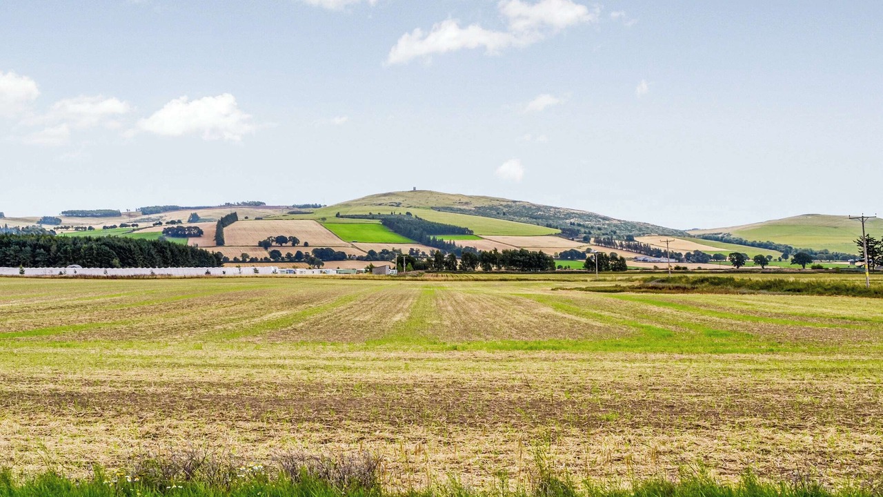 Photo of Others in Murthill