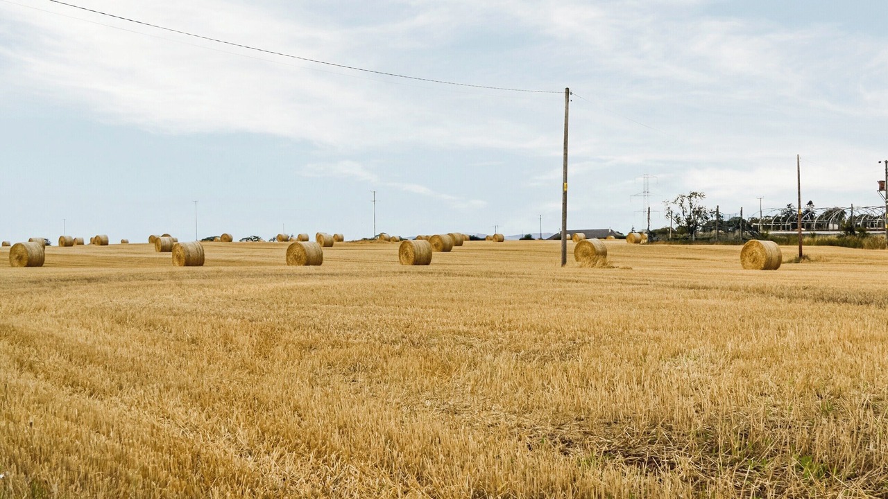 Photo of Others in Murthill