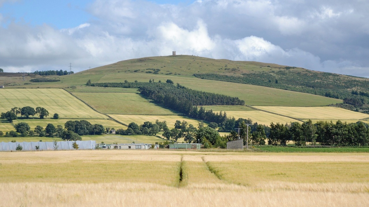 Photo of Others in Murthill