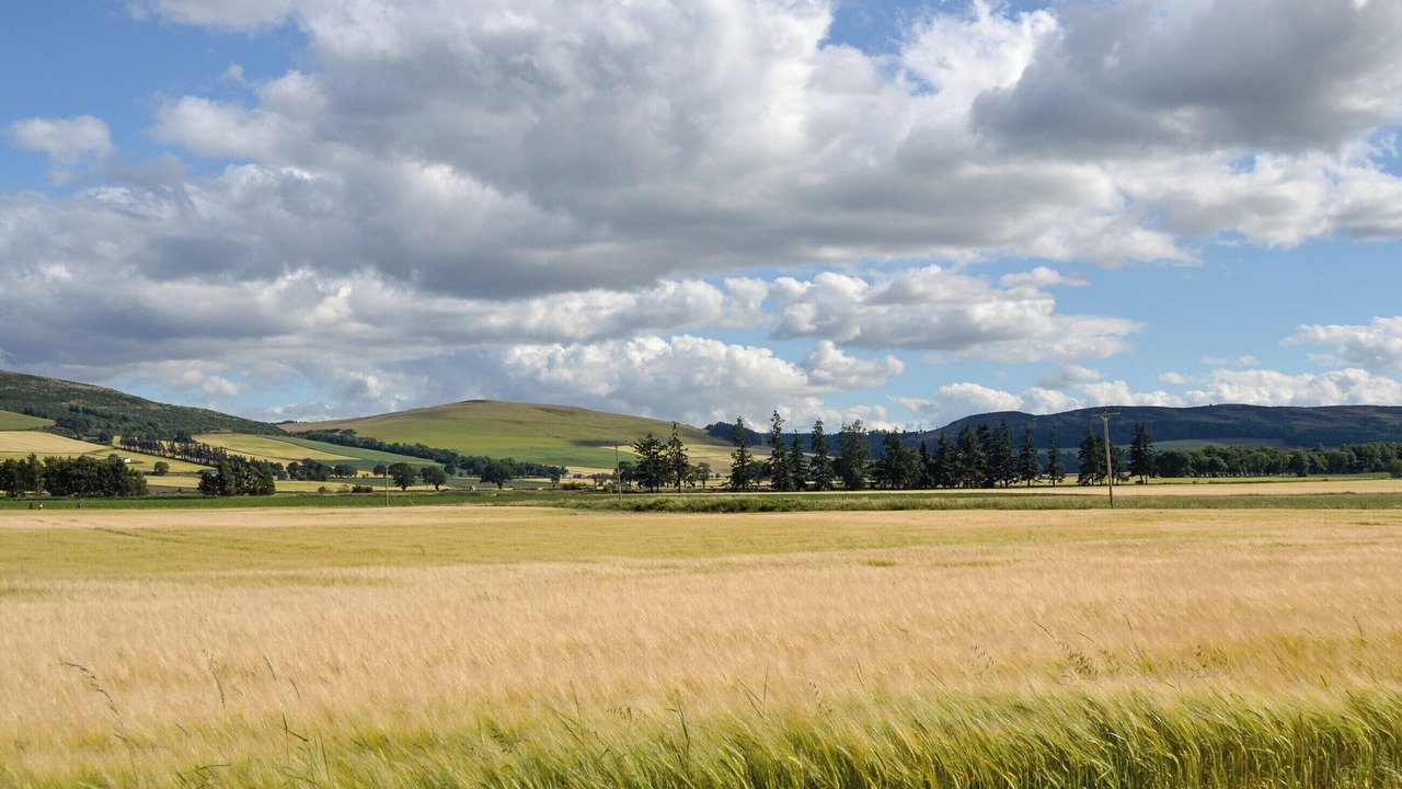 Photo of Others in Murthill