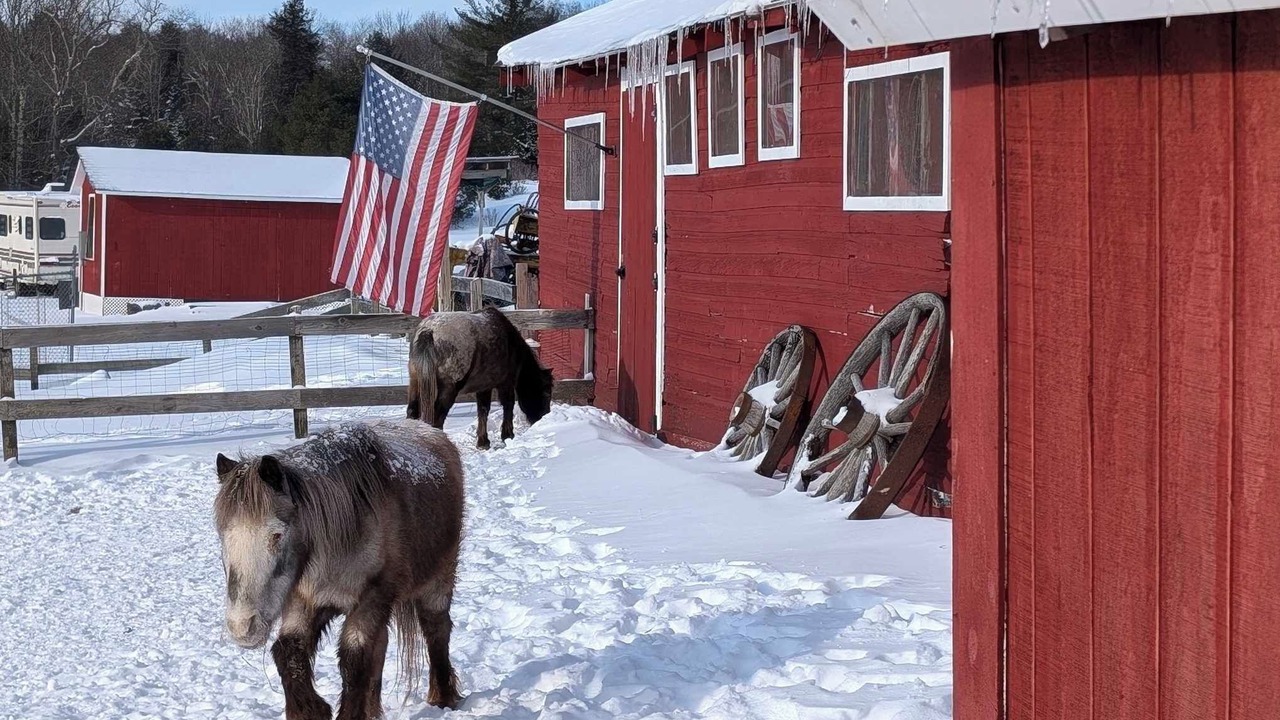 Photo of Outdoor in Parksville
