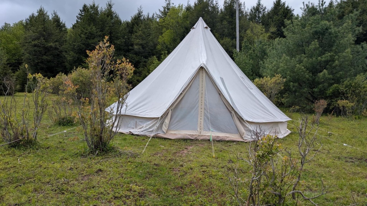 Photo of Outdoor in Parksville