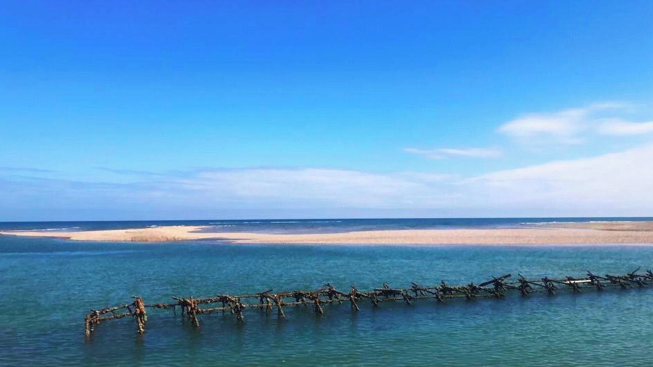 Photo of Others in Pagham