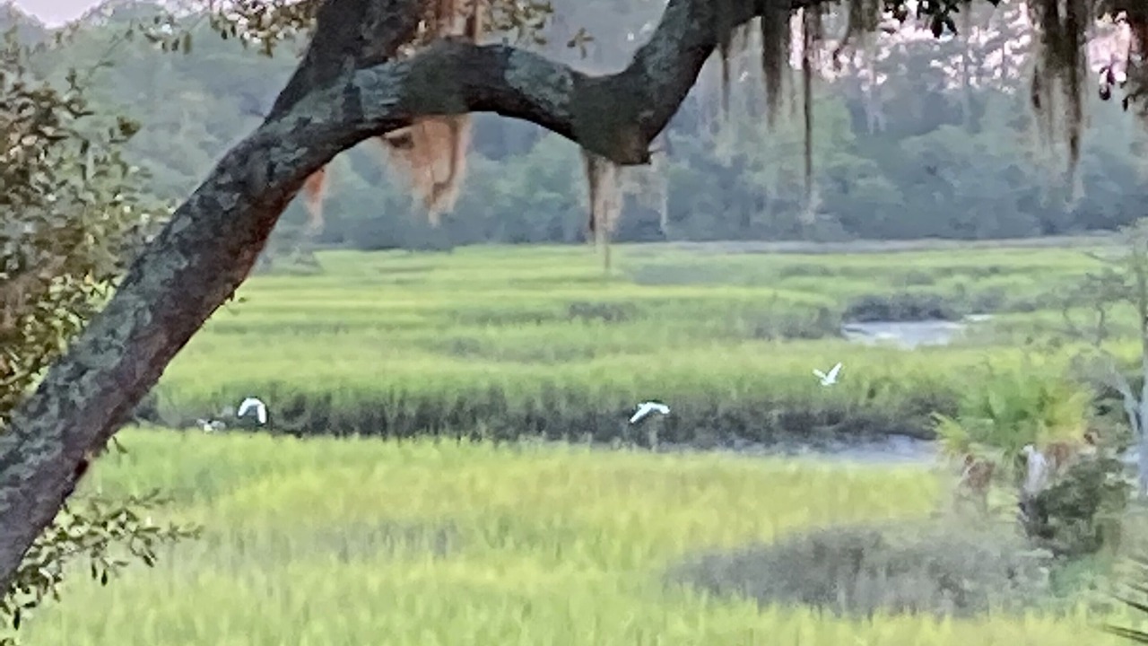 Photo of Others in Valona