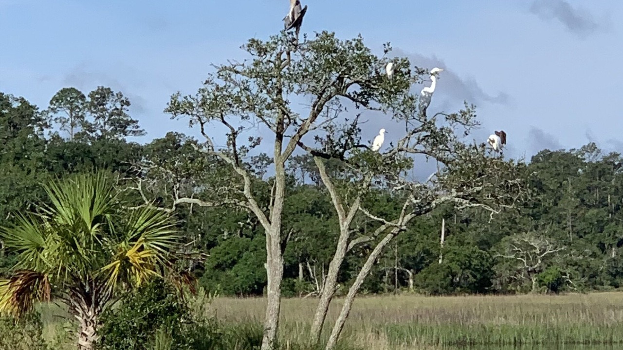 Photo of Others in Valona