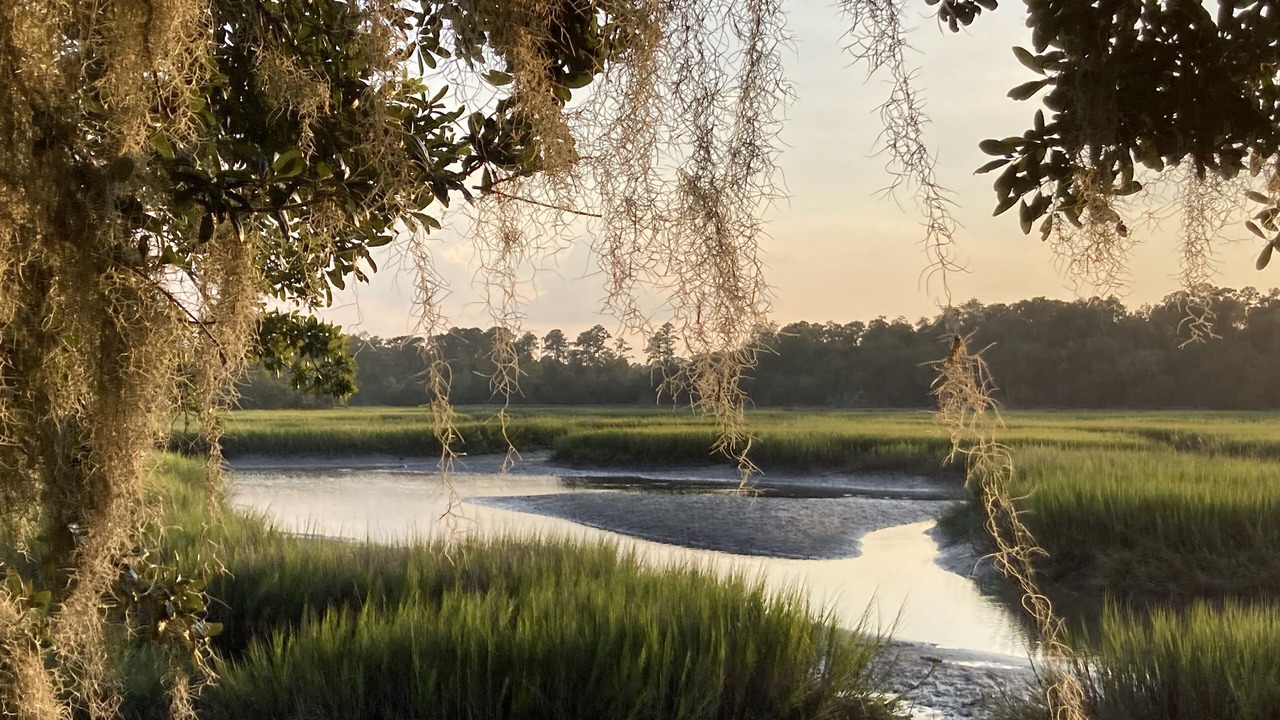 Photo of Others in Valona