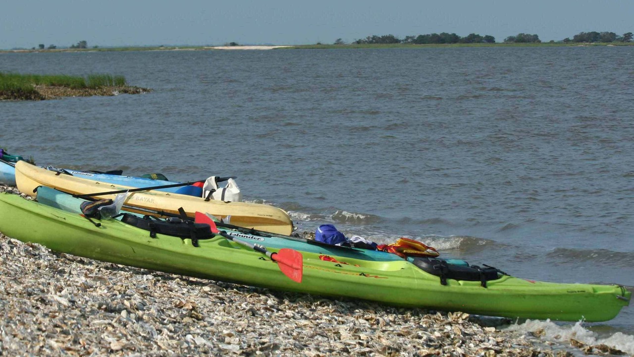 Photo of Others in Valona