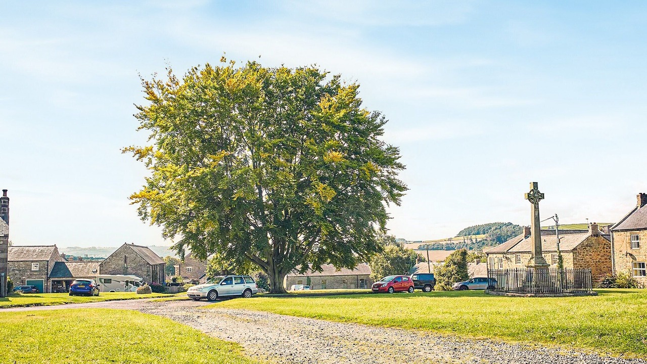 Photo of Others in Wall