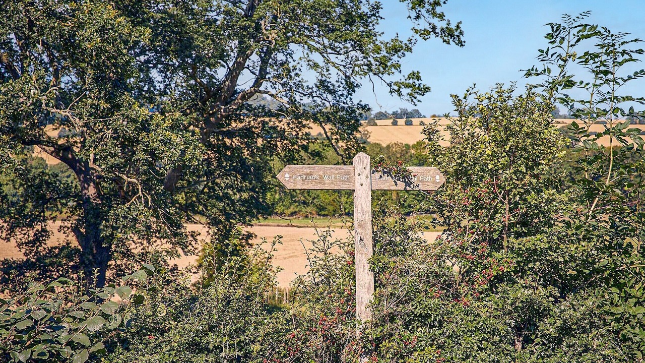 Photo of Others in Wall