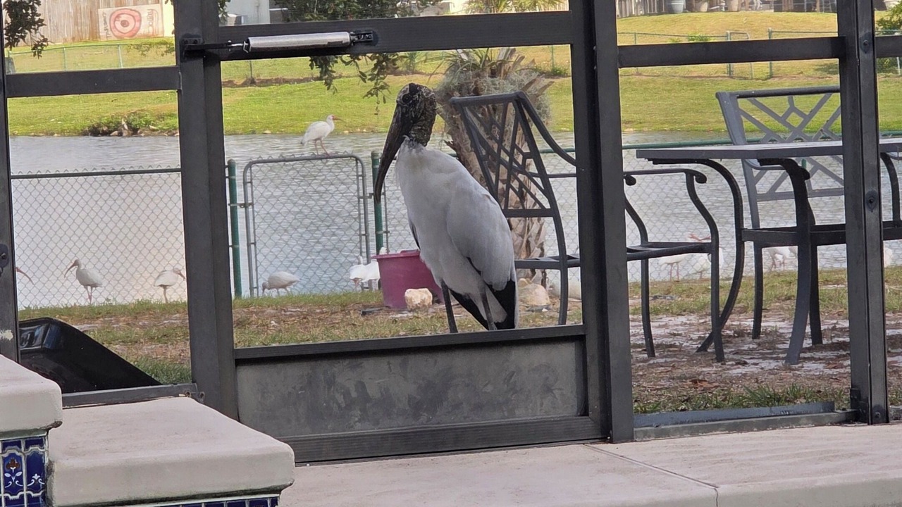 Photo of Outdoor in Indian Wells