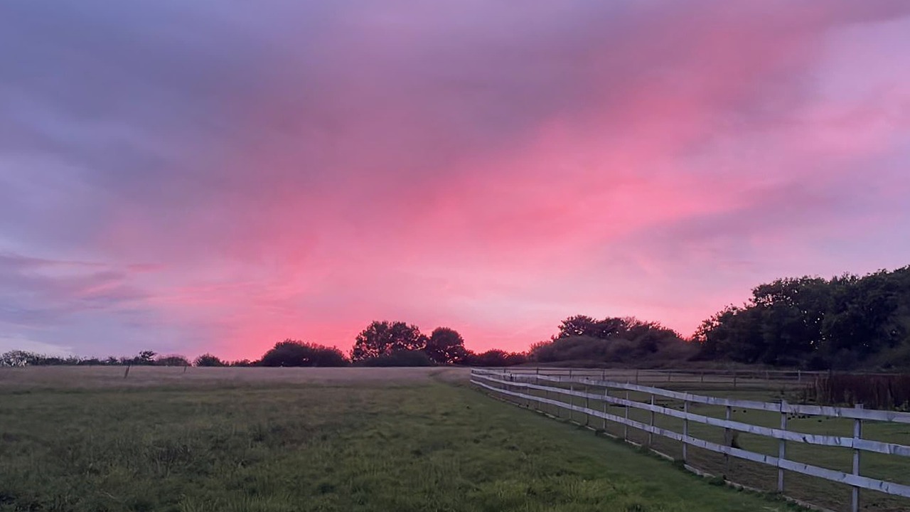 Photo of Others in Beaworthy