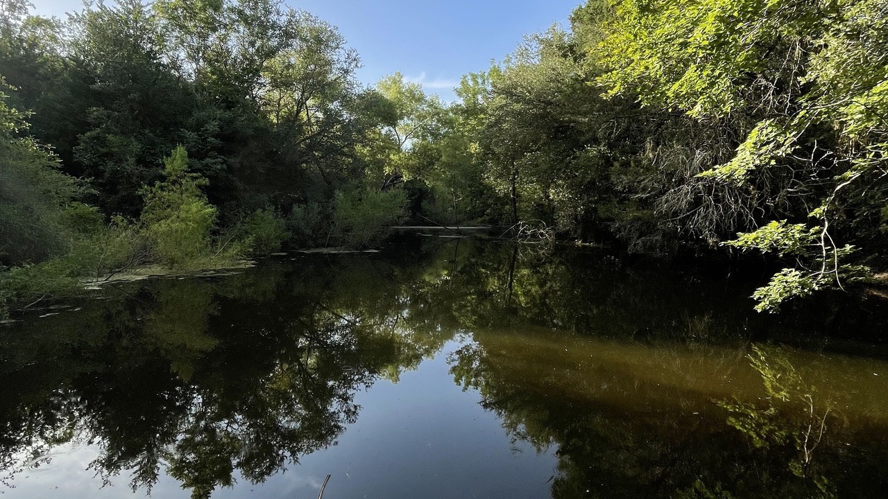 Photo of Others in Schulenburg