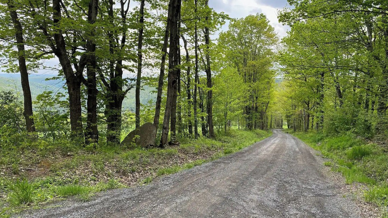 Photo of Others in Town of Broome