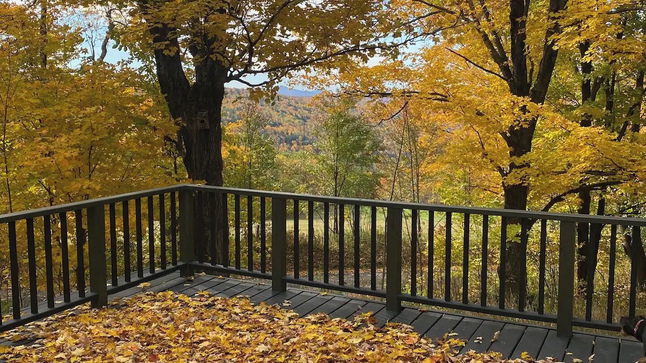 Photo of Outdoor in Town of Broome