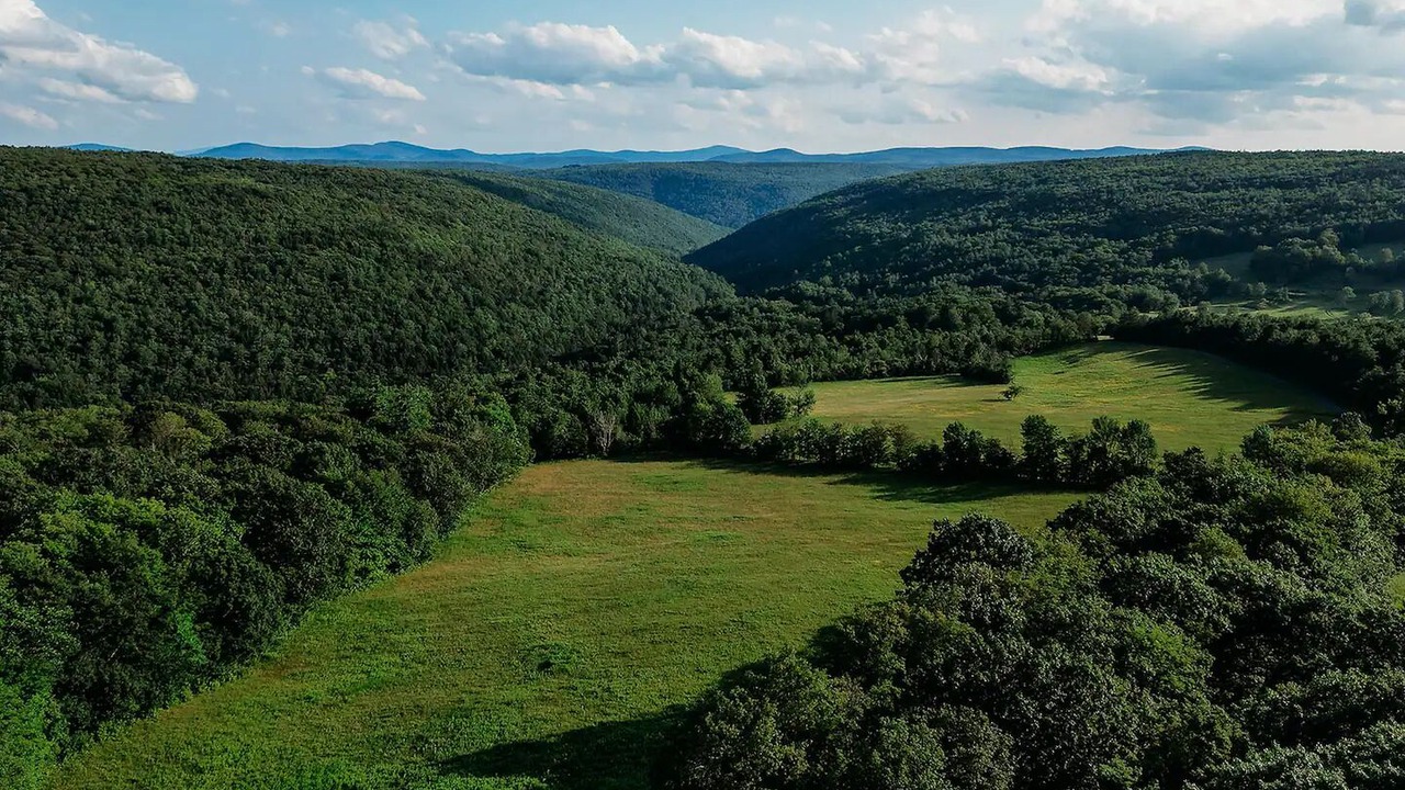 Photo of Others in Town of Broome