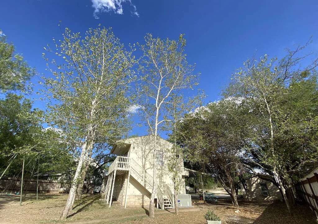 Photo of Others in Leakey