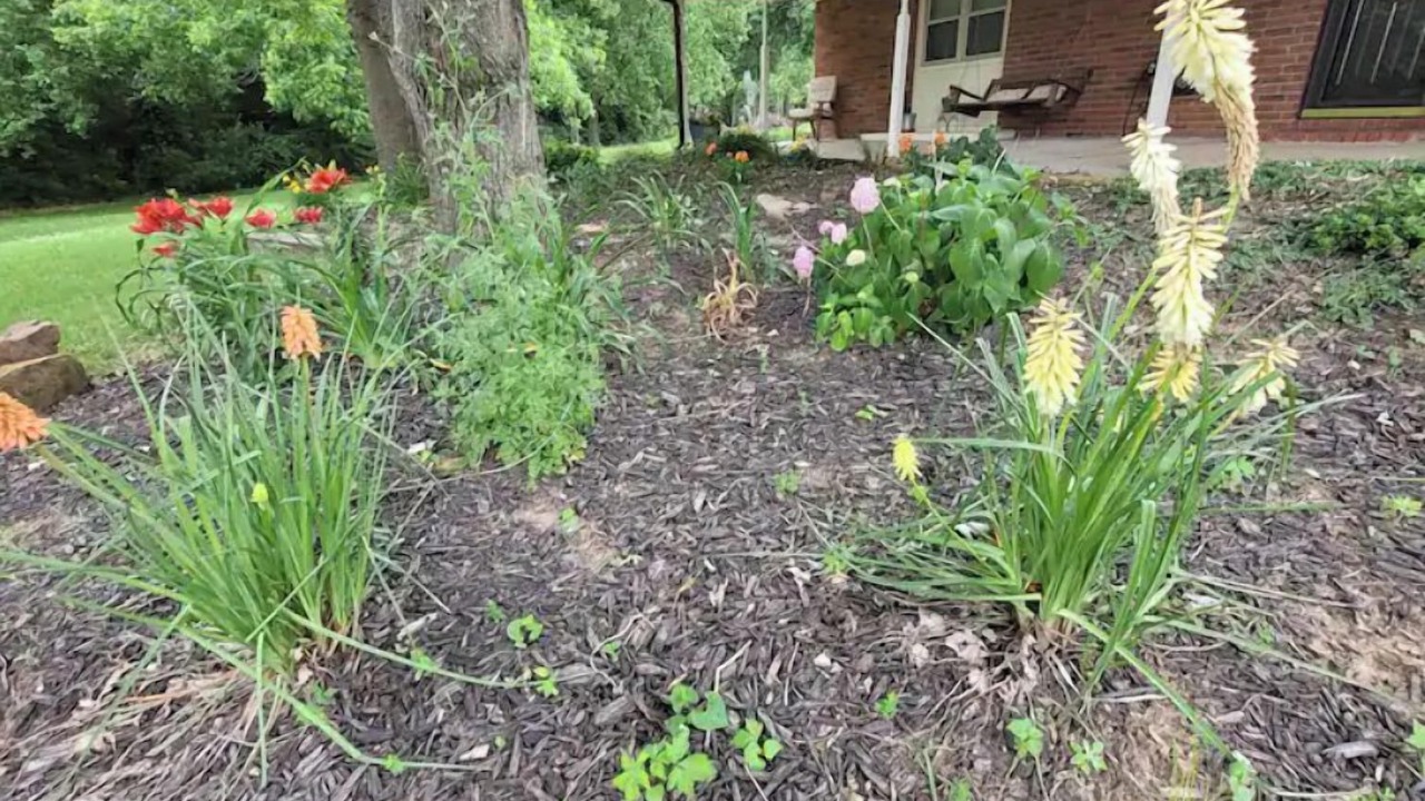 Photo of Outdoor in Muskogee